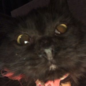 Meet your Posher, Sky